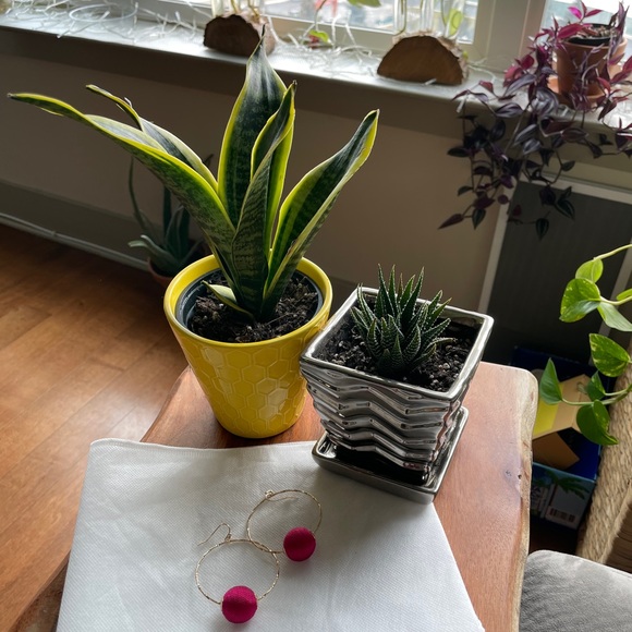 Express earrings - Picture 3 of 3